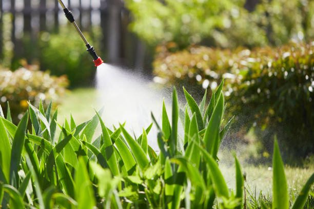 24/7 Emergency Mosquito Control experts in Oakwood, GA