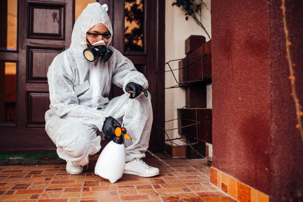 Reliable Mosquito Control contractor in Oakwood, GA by Show Me Pest Control